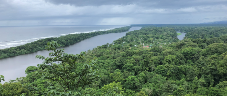 tortuguero