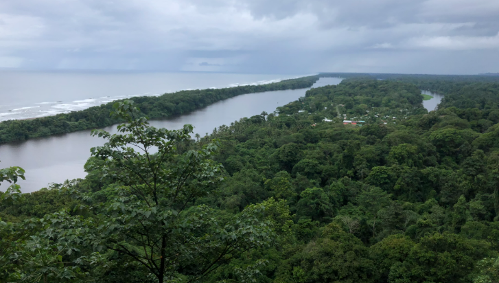 cerro tortuguero