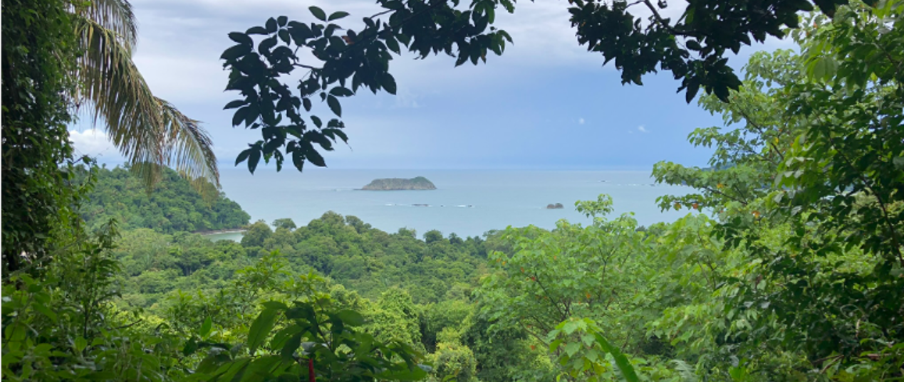 manuel antonio portada