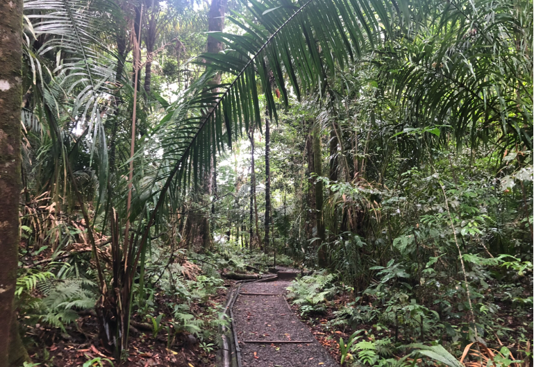 manuel antonio sendero