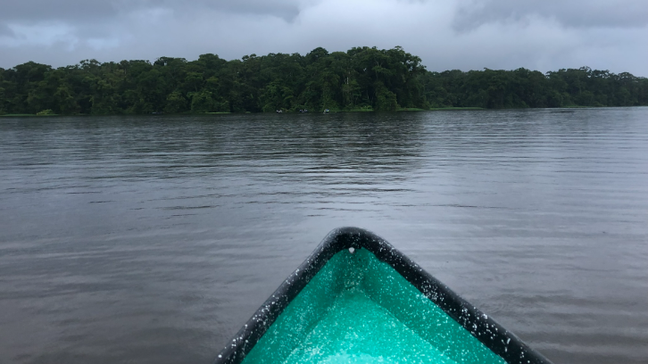 tortuguero