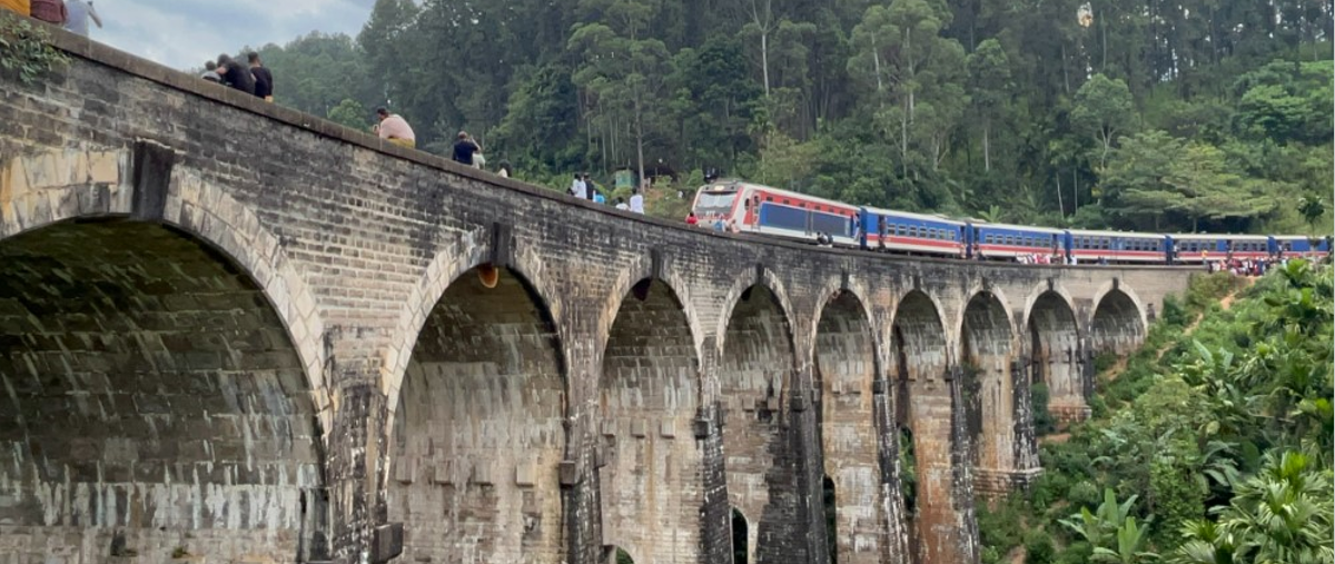 Nine Arch Bridge Ella Train