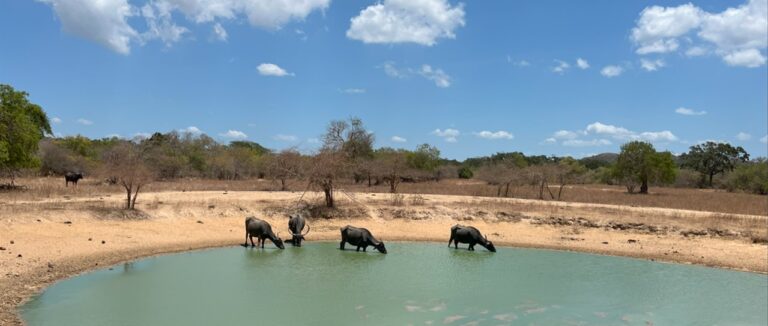 Parque Nacional Yala