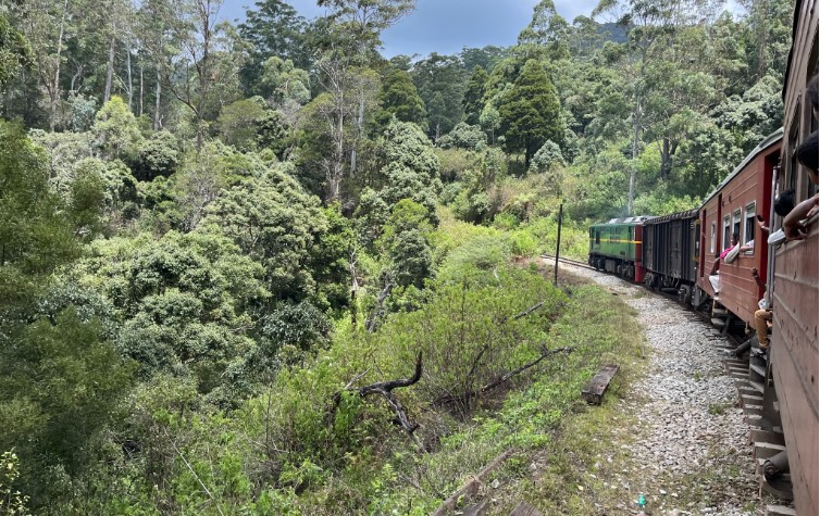 Recorrido del Tren Nuwara Eliya Ella Sri Lanka