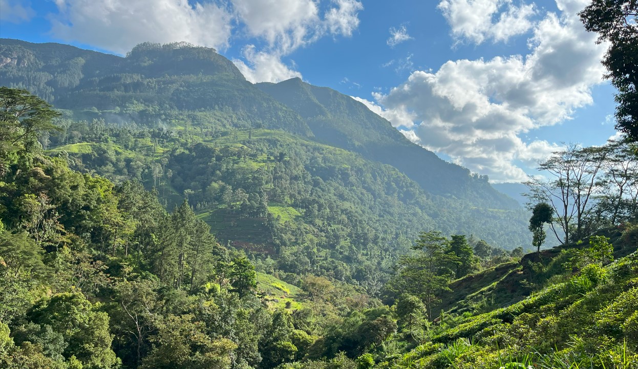 Vistas desde Ramboda falls