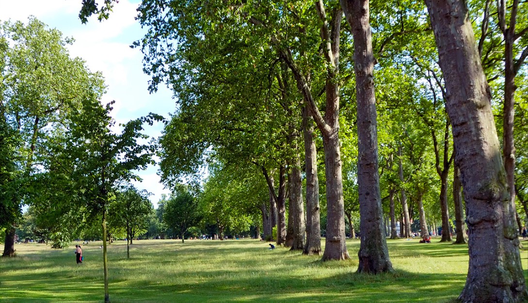 Hyde Park