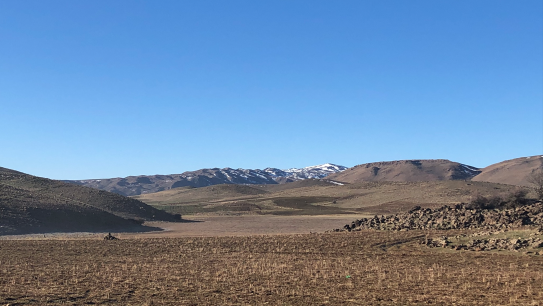 Paisajes nevados en Ifrane