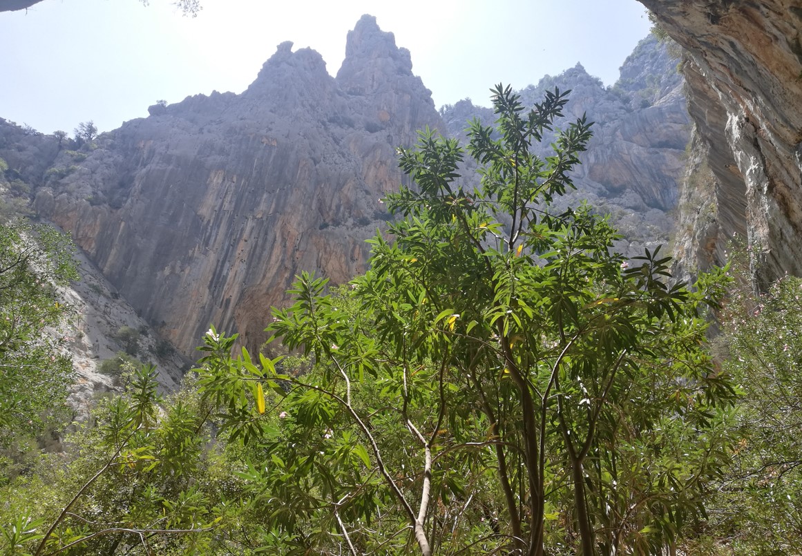 Gola di Gorropu desde abajo