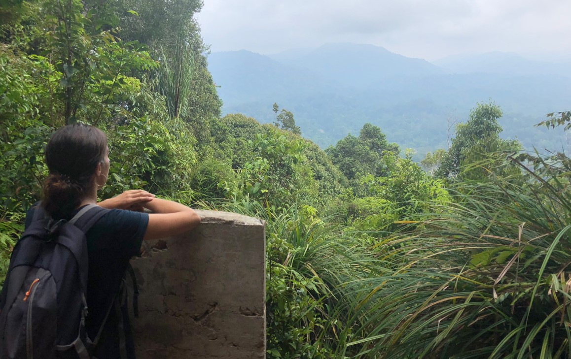 Selva en Taman Negara Malasia 