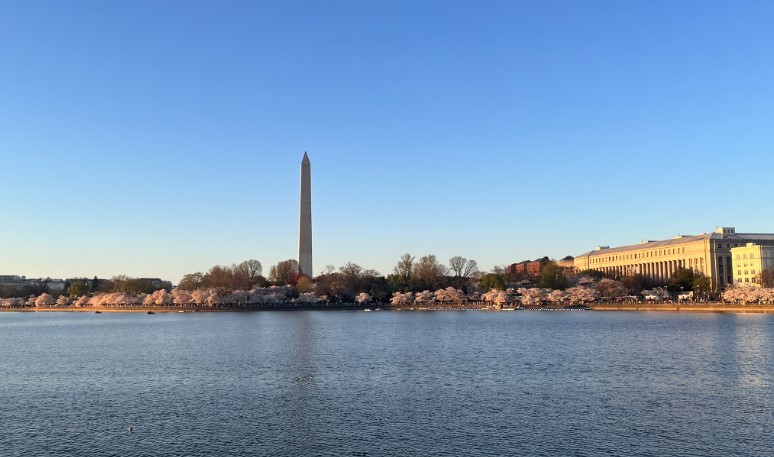 Tidal Basin Washington