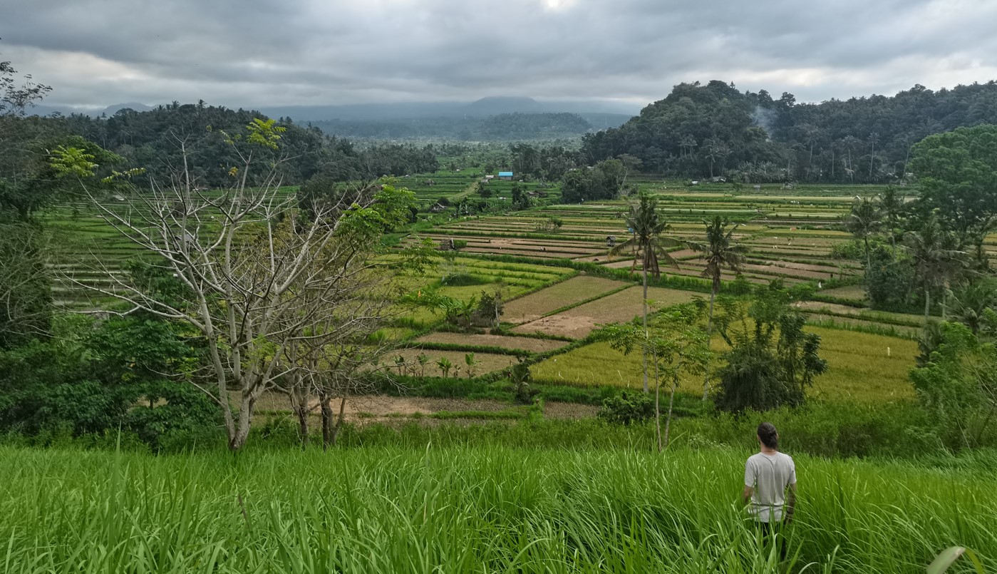 Bali