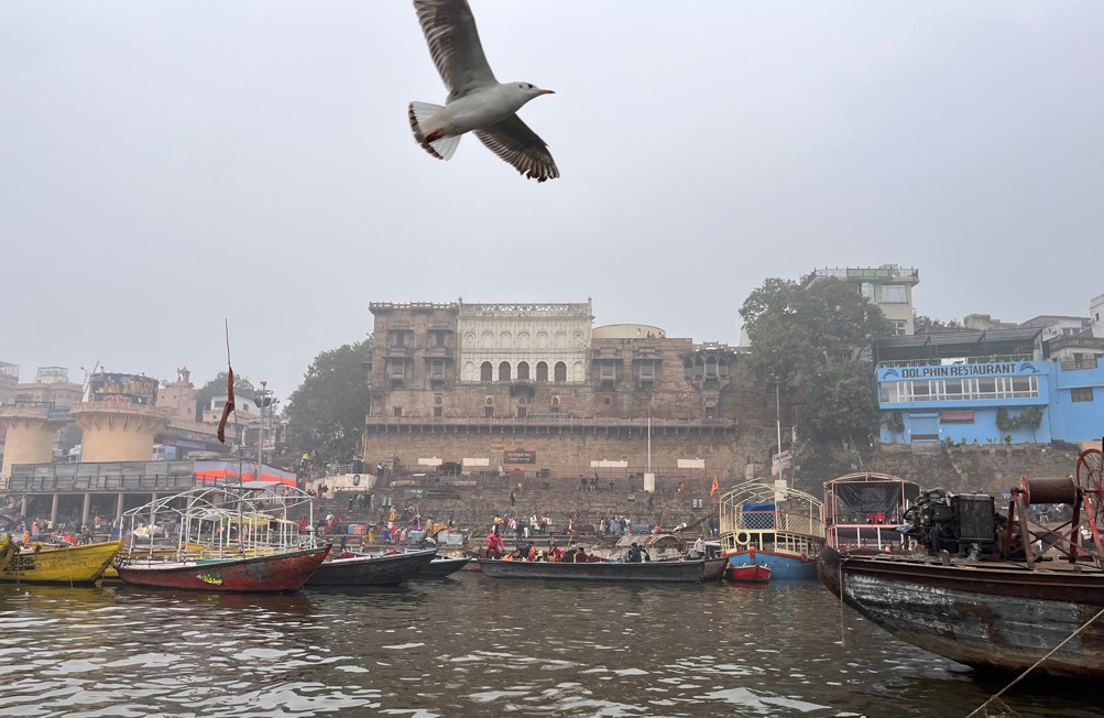 Vista de los Ghats desde el agua